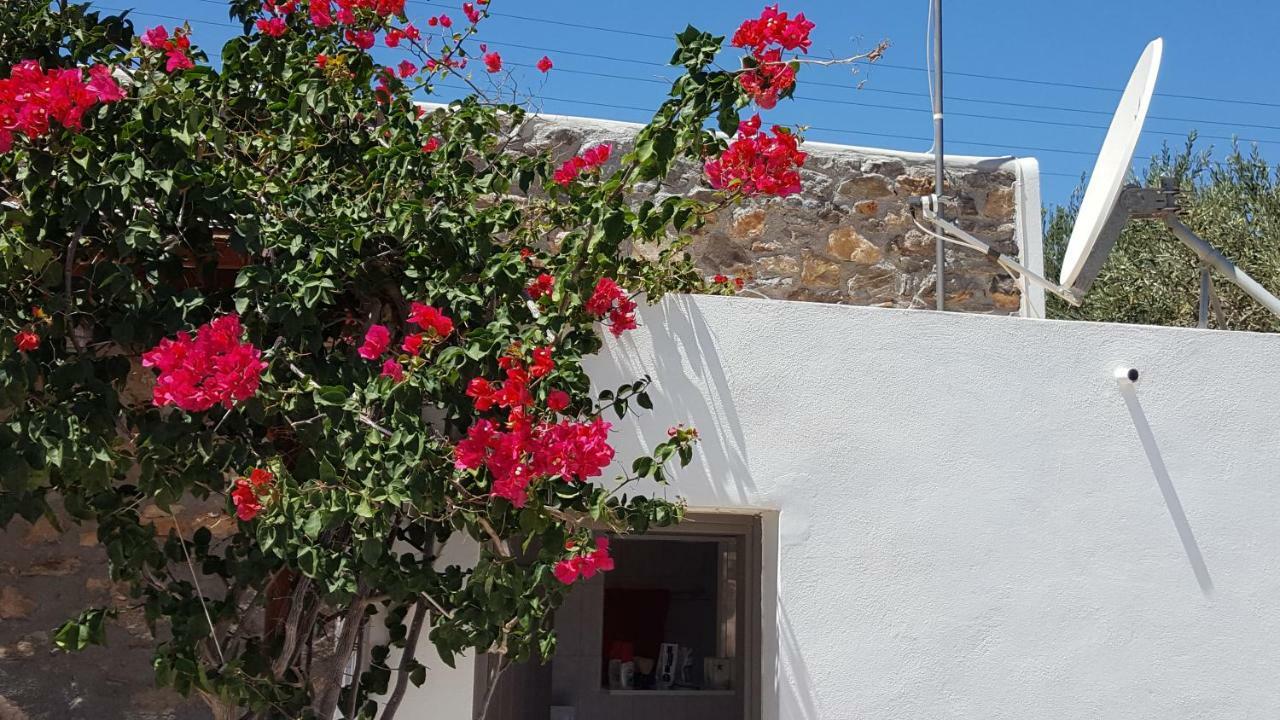 Flora'S Beach And Pool Villa In Syros Liaropá Exterior foto